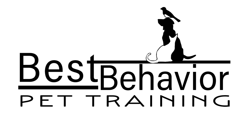 Best Behavior Pet Training