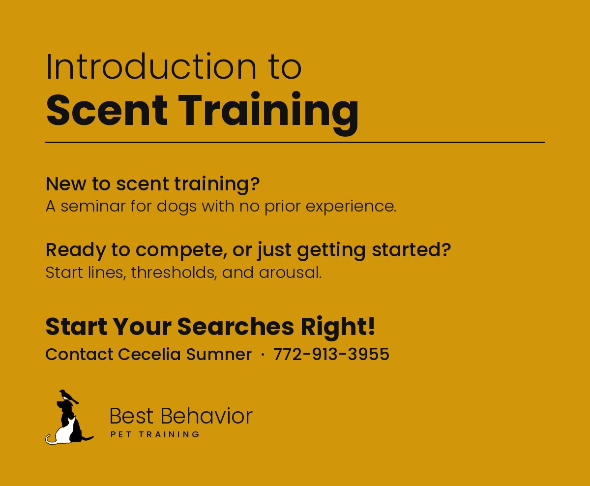 Canine scent sports